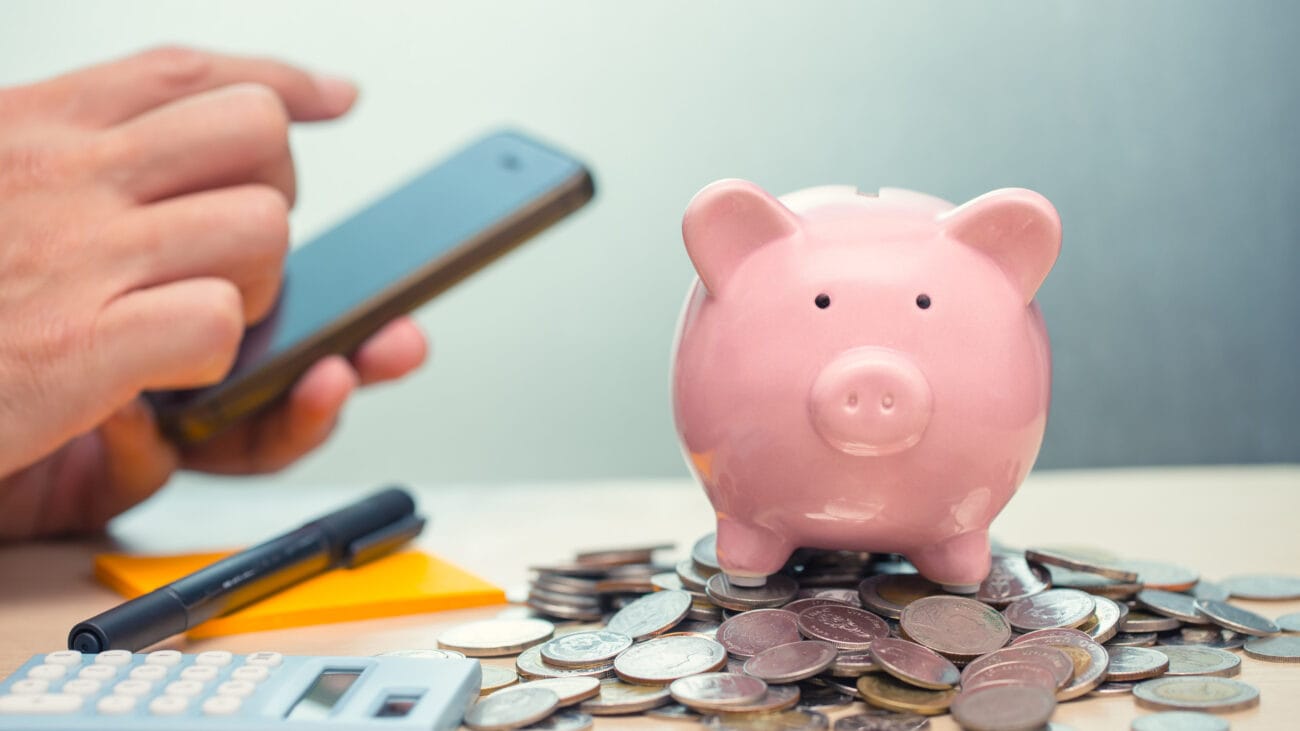 Programėlės išlaidų sekimui